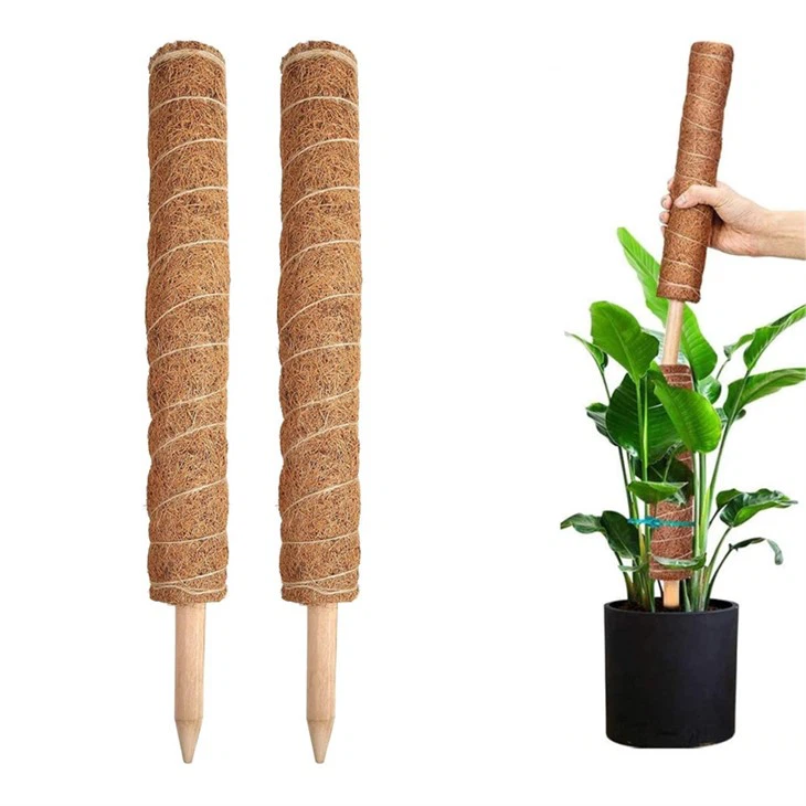 Coco Plant Support Stick For Climbing Plant