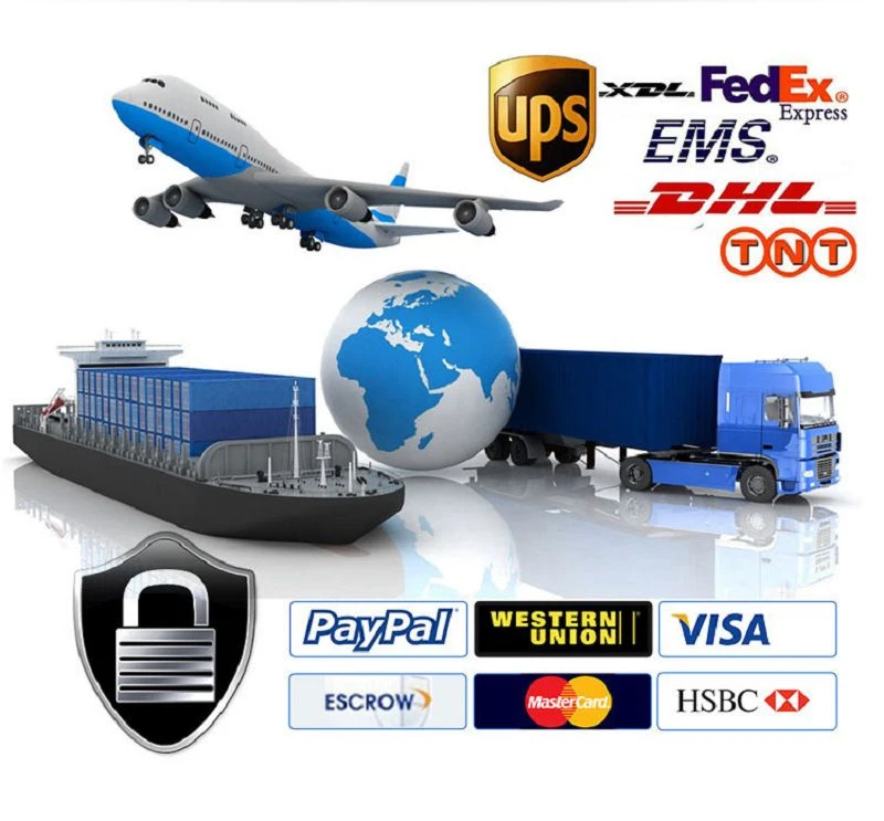 product-800-743